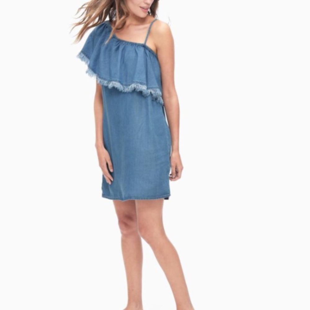 splendid Indigo One Shoulder Dress